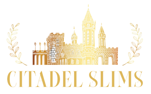 cs logo 3